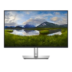 40-60-5600--Dell P2425H LED-Monitor61cm-screenKlein
